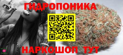 скорость Будённовск