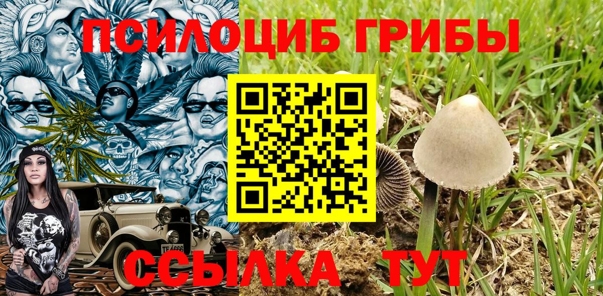 Псилоцибиновые грибы Cubensis Балашов