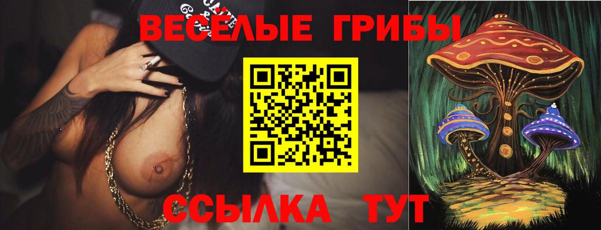 Галлюциногенные грибы Psilocybine cubensis  наркошоп  Псилоцибиновые грибы MAGIC MUSHROOMS  Балашов  Вход с VPN 